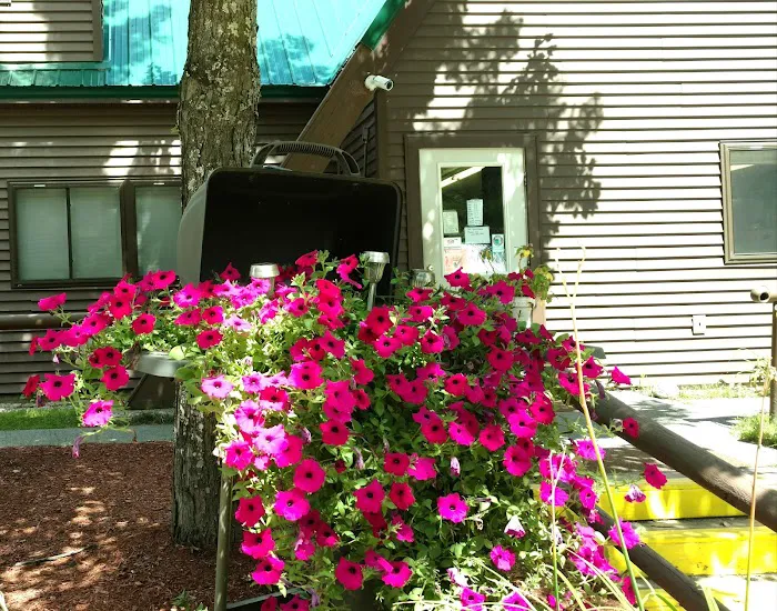 Beaver Hollow Campground Picture 10
