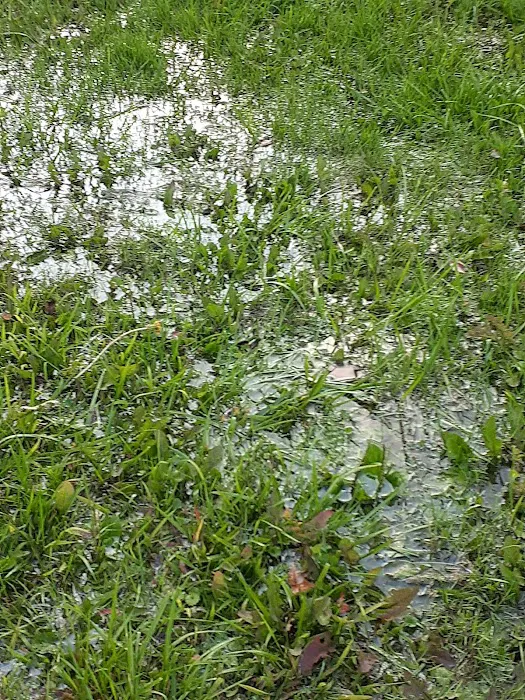 Arbor Village Mobile Home Community Picture 9