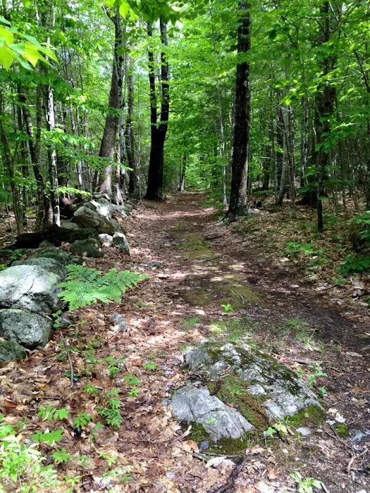 Lake Ivanhoe Campground Picture 10