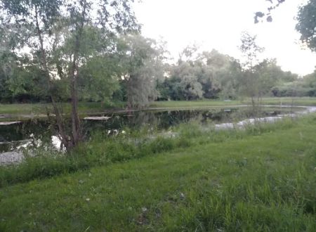 Three Oaks Estates