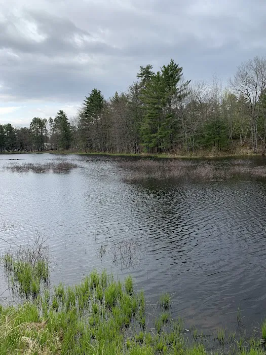 Woodman Lake Campground Picture 9