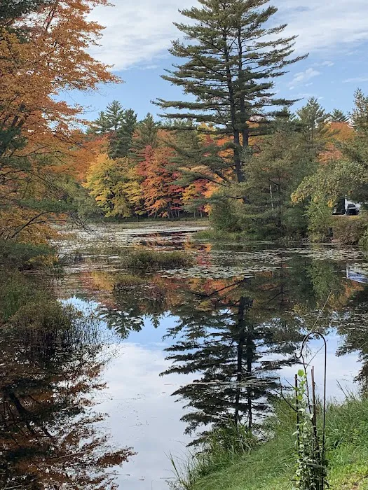 Woodman Lake Campground Picture 5