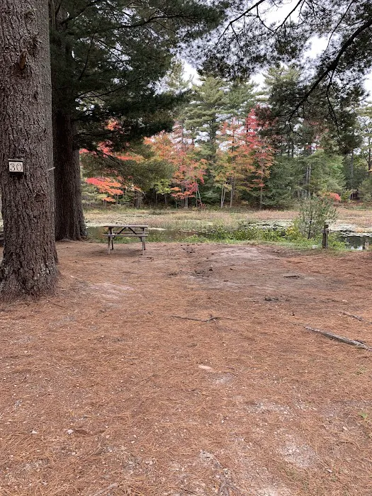Woodman Lake Campground Picture 2