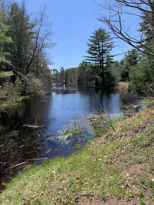 Woodman Lake Campground Picture 8