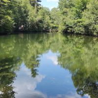Lake Forest Resort ico