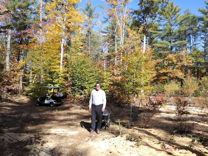 Lake Forest Resort Picture 7