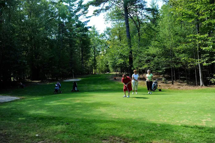 Lake Forest Resort Picture 3