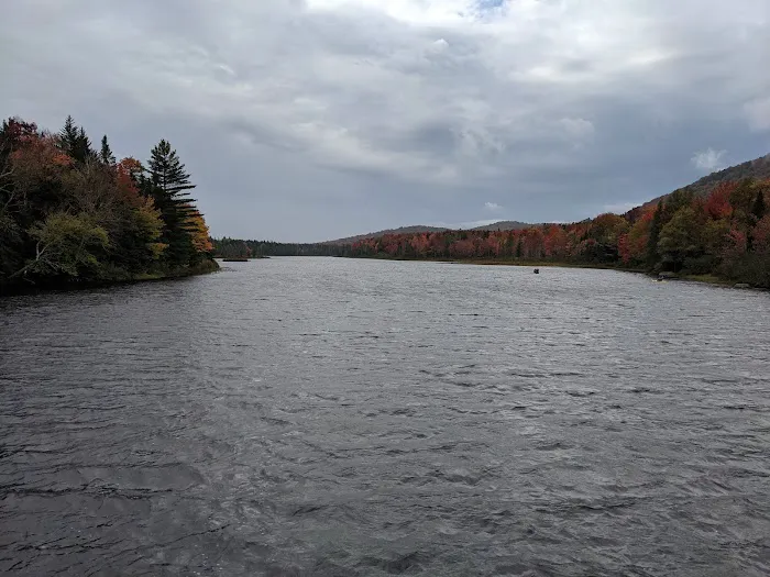 Cedar River Campsites Picture 1