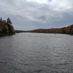 Cedar River Campsites