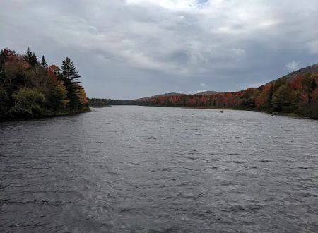 Cedar River Campsites