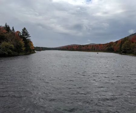 Cedar River Campsites