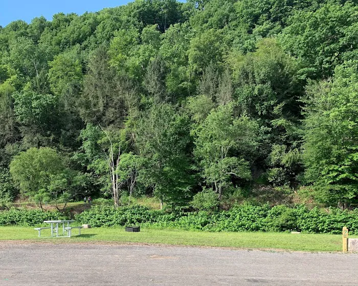 Ridgway Mills Campsites Picture 6