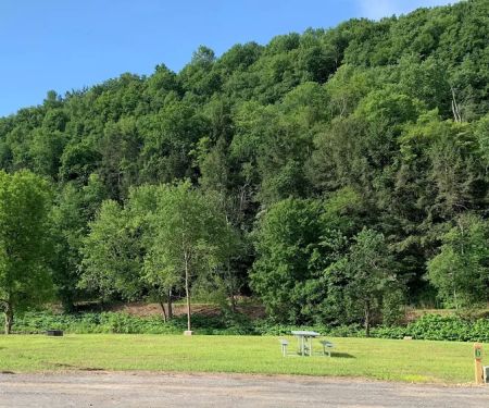 Ridgway Mills Campsites