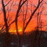 Walnut Hill Community