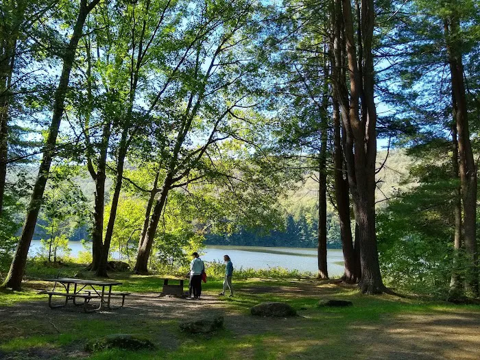 Red Bridge Campground Picture 8