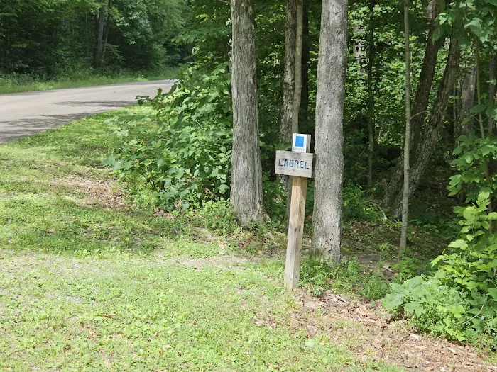 Dewdrop Campground Picture 2