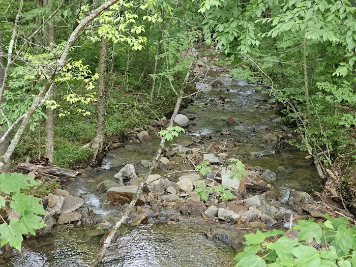 Dewdrop Campground Picture 3