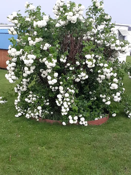 Tower Mobile Home Park & Sales Picture 3