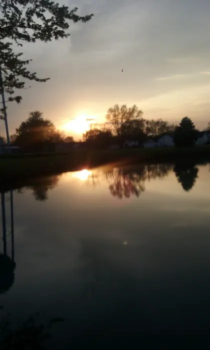 Tower Mobile Home Park & Sales Picture 5