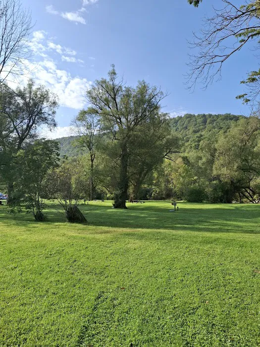Campground Adventures Picture 5
