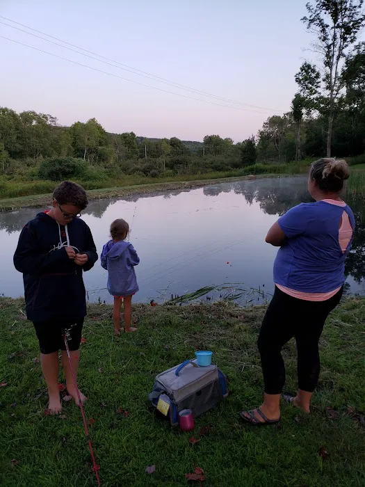 All Adventures Campground Inc Picture 7