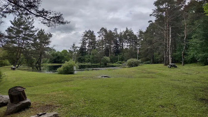 Camp Emerald Acres Picture 7