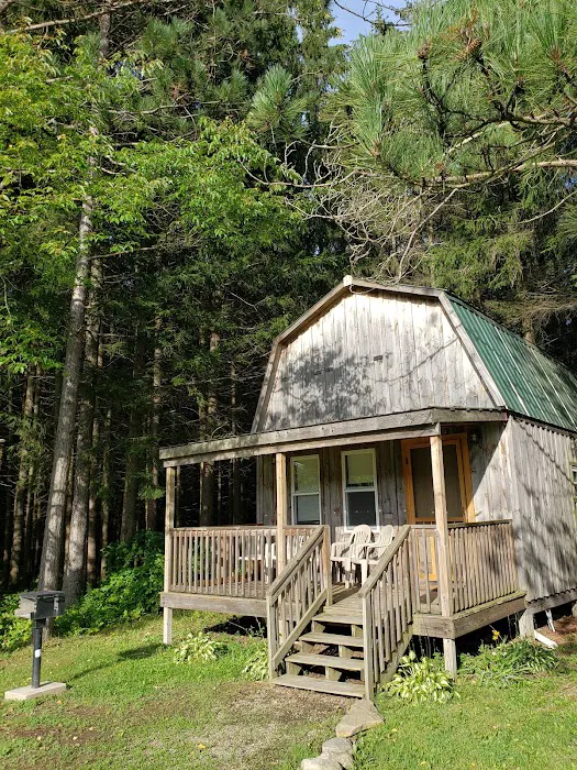 Shamrock Pines Campground Picture 6