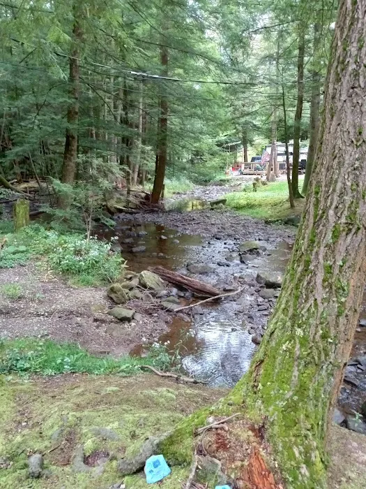 Whispering Winds Campground and Cabins Picture 10