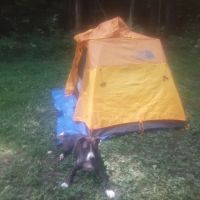 CCC Camp Seneca ico