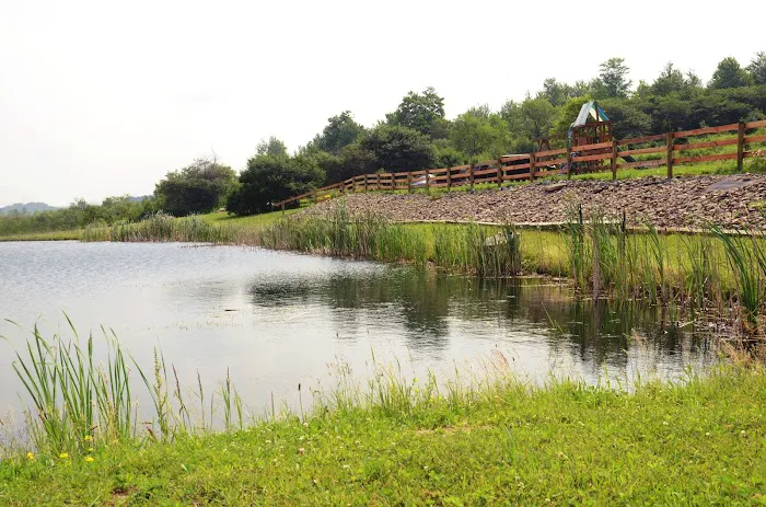 Harwood Haven Inc Picture 3