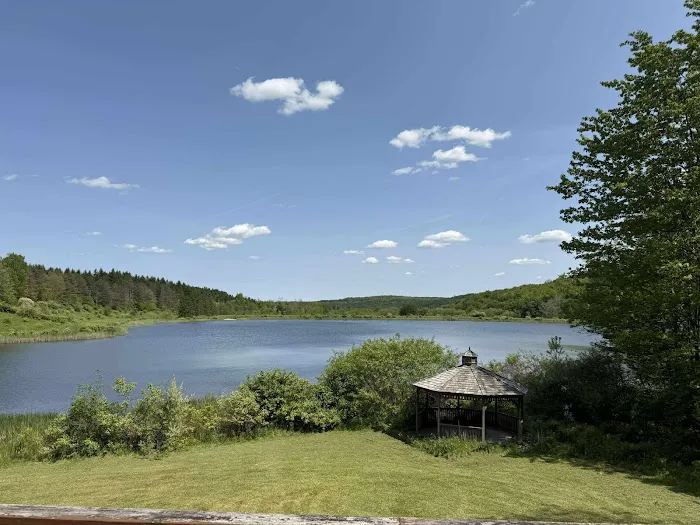 Bear Creek Lake Resort Picture 4