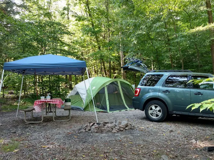 Blue Ridge Picture 4