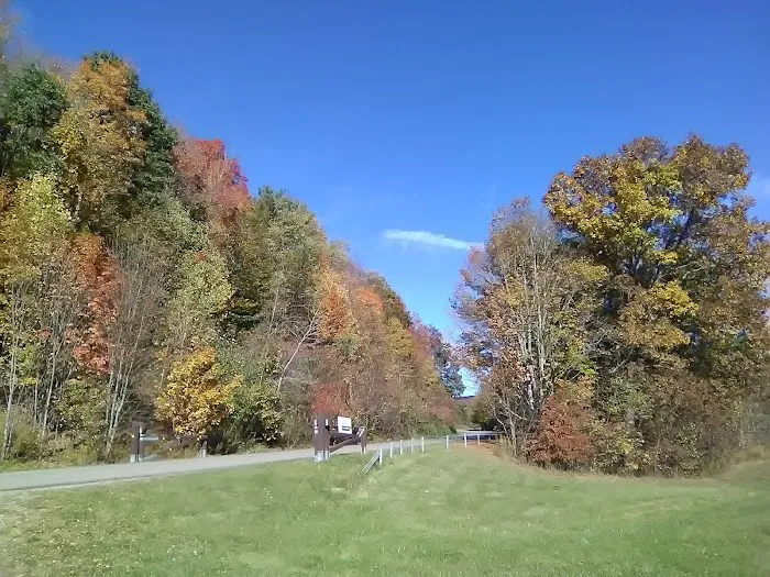 Blue Ridge Picture 5