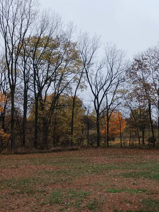 Lakeland Manor Mobile Home Park Picture 4