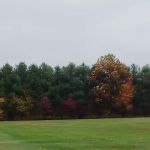 Lakeland Manor Mobile Home Park