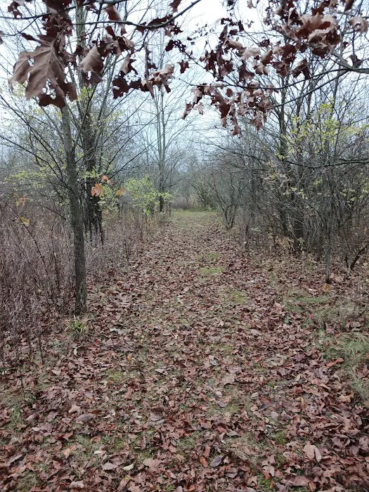 Lakeland Manor Mobile Home Park Picture 3