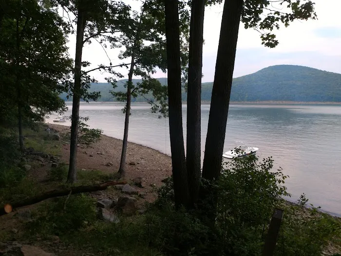 Hooks Brook Campground Picture 4