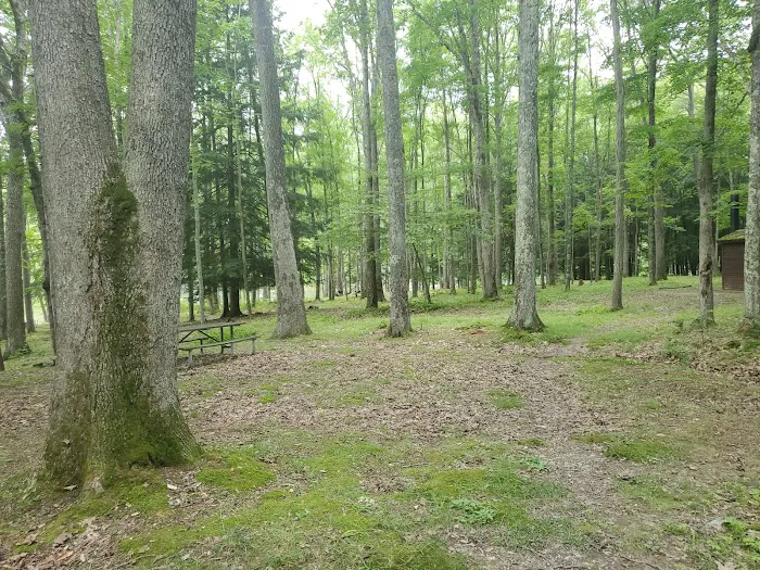 Hooks Brook Campground Picture 8
