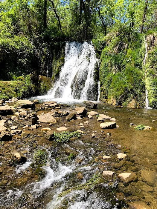 Falling Waters River Lots Picture 4