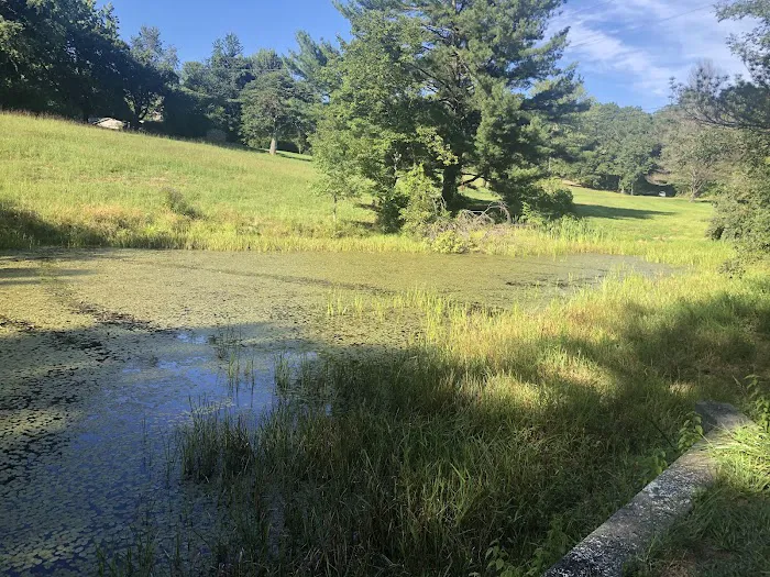 Mountain Lake Campground Picture 9