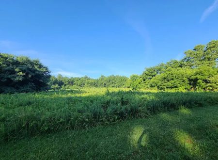 Sky Meadows Campground