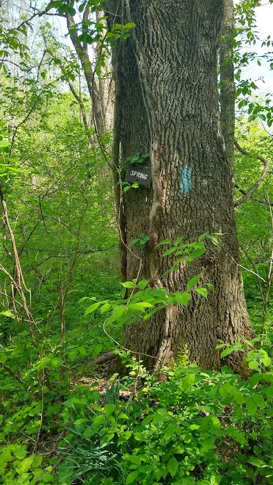 Mosby Campsite Picture 10