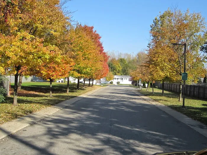 Mill Race Shores Picture 3