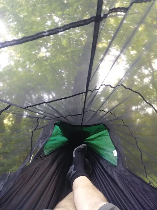 Leopards Mill Campsite Picture 7