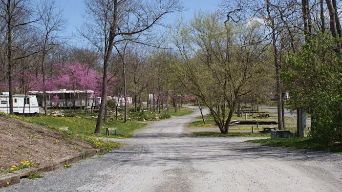 Happy Hills Campground Picture 6