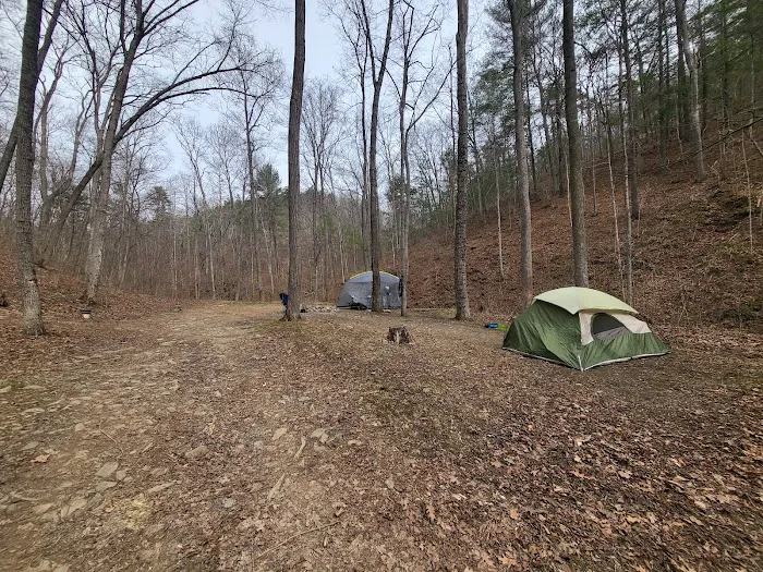 Green Ridge State Forest Campsite #85 Picture 1