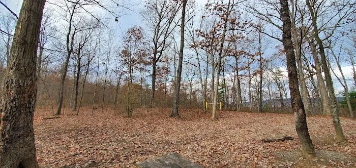 Green Ridge State Forest, campsite #83 Picture 1