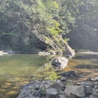 Green Ridge campsite 84 ico