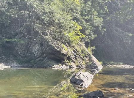 Green Ridge campsite 84