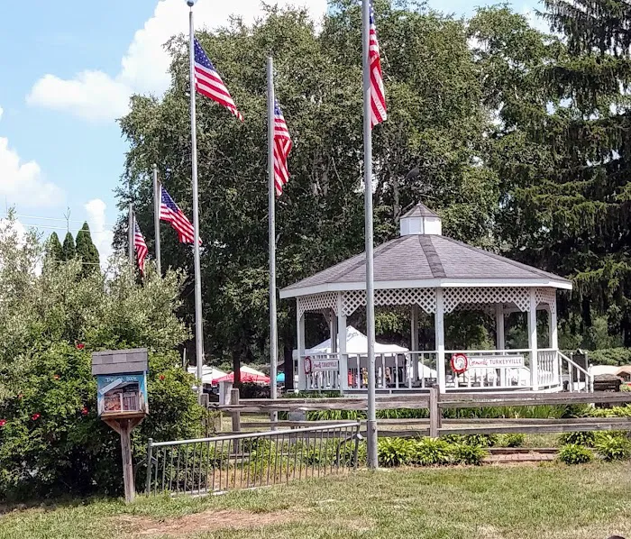 Camp Turkeyville RV Resort Picture 9